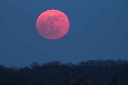 Cuándo se podrá ver la Luna llena rosa