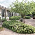 Las alternativas que están cambiando la forma de diseñar los jardines