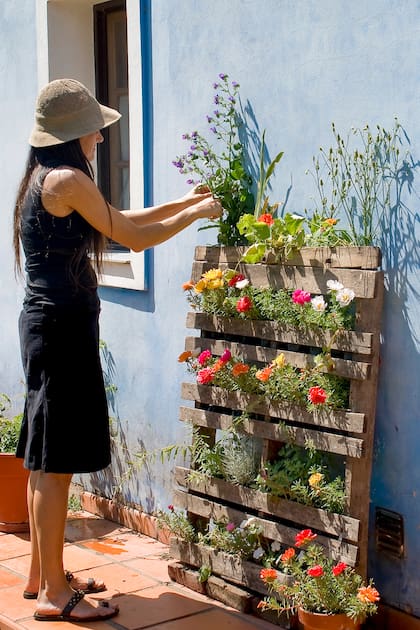 Cuando se tiene poco espacio, los jardines verticales son una buena alternativa