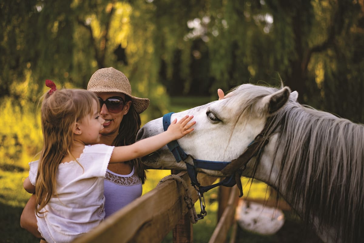 Cuándo son las vacaciones de invierno 2025 en Córdoba