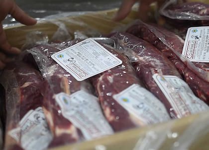 “Cuando uno tiene el sistema integrado como un todo, lo interesante es que se arranca con el maíz que también producimos, donde 10 kilos de maíz se convierten en un kilo de carne en pie que luego se traduce a nivel de producto en un 30% es carne neta envasada al vacío”, explicó