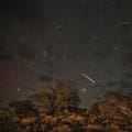 La lluvia de Perseidas podrá verse sin telescopio: a qué hora y desde dónde