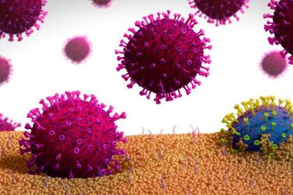 Cuanta más libertad tenga un virus para circular mayor probabilidad existe de que mute