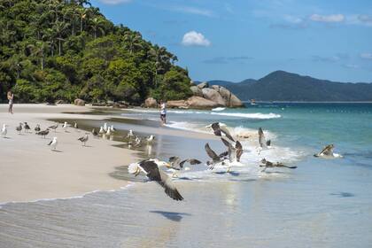 Cuánto cuesta ir de vacaciones a Brasil y con qué conviene pagar allá