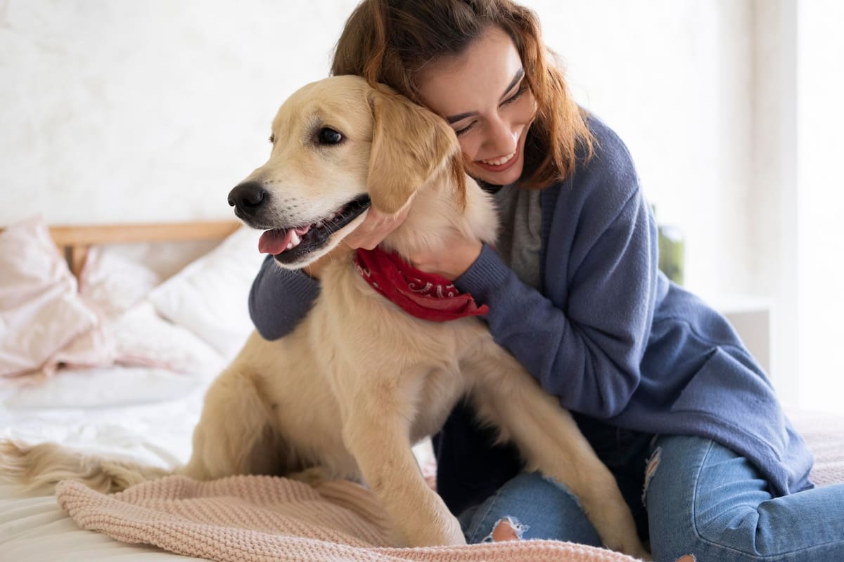 Cuánto cuesta realmente mantener un perro en Argentina hoy
