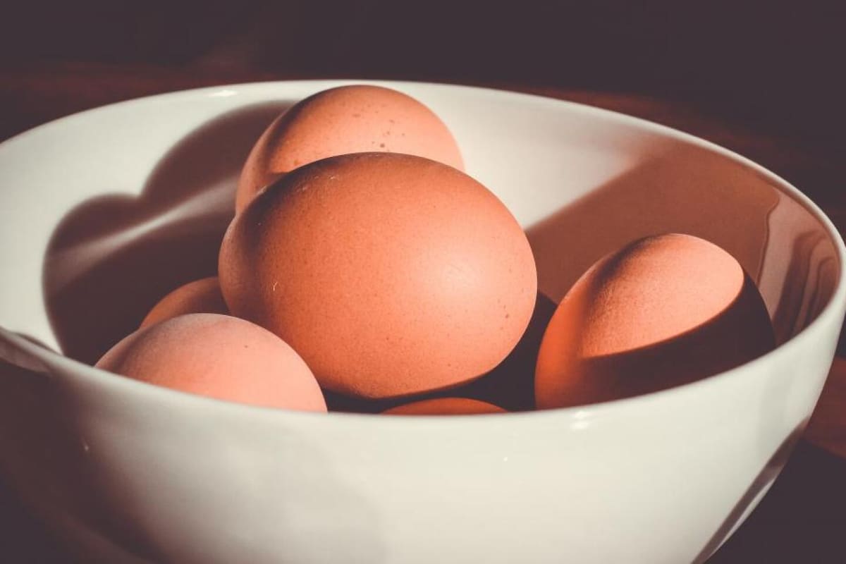 ¿Cuánto duran los huevos en la heladera y cómo saber si todavía están aptos para su consumo?