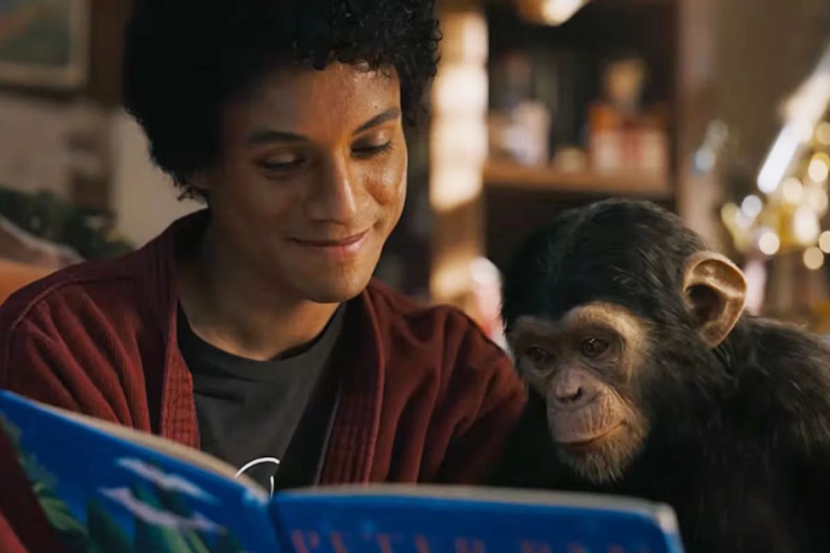 ¿Cuánto hay de ficción y cuánto de realidad en Michael?