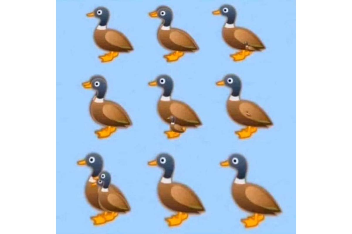 ¿Cuántos patitos podés ver?