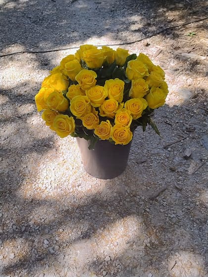 Cuarenta rosas amarillas para Georgie