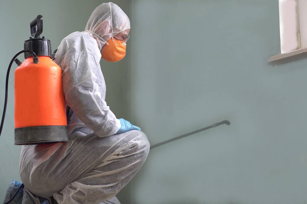 Cuarentena total. Las empresas de fumigación piden estar incluidos dentro de las actividades esenciales