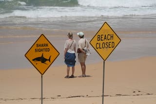 Cuatro ataques de tiburones en menos de 48 horas encendieron las alarmas en Australia