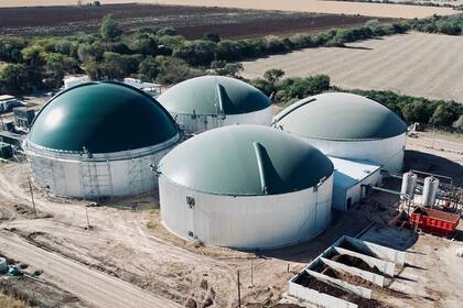 Cuatro biodigestores integran la planta en General Paz, Córdoba.