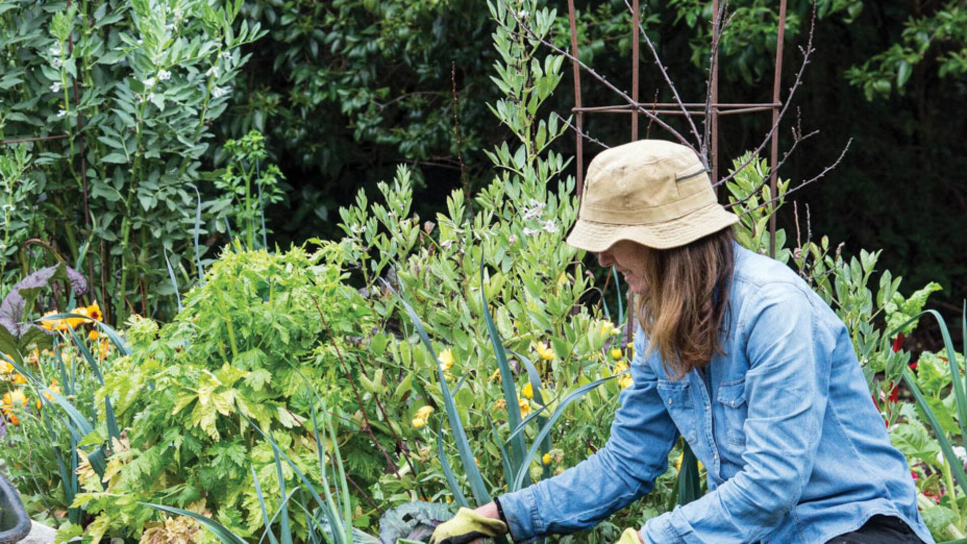 No hace ser un huertero experimentado para tener una buena cosecha de vegetales, ya que en el vasto universo vegetal hay especies muy fáciles de cultivar.