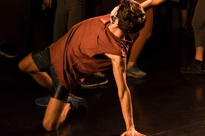 Cucha, trabajo coreográfico de Celia Argüello en el cual los movimientos caninos se transforman en motor de la propuesta