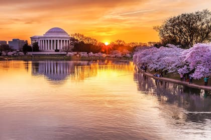 Cuenca Tidal con vista al monumento a Jefferson, Washington D.C.