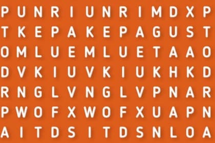 Cuentan los historiadores que la primera sopa de letras se creó en la década del sesenta