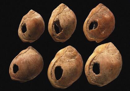 Cuentas de conchas perforadas de la cueva de Blombos de ~70.000 a.C