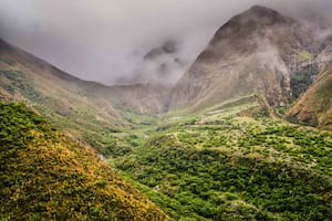 Cuesta de Cañani. En los valles intermedios de la Cordillera Oriental la humedad se libera en vegas y arroyos.