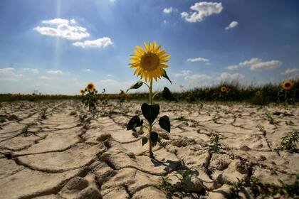 Cuidar el clima es cuidar la vida