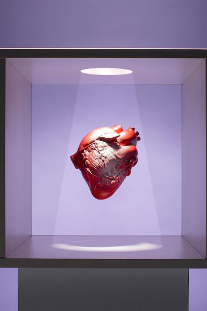 Cuidar el corazón: el 50% de los eventos cardiovasculares están asociados a una mala alimentación según la Academia Norteamericana del Corazón (AHA)