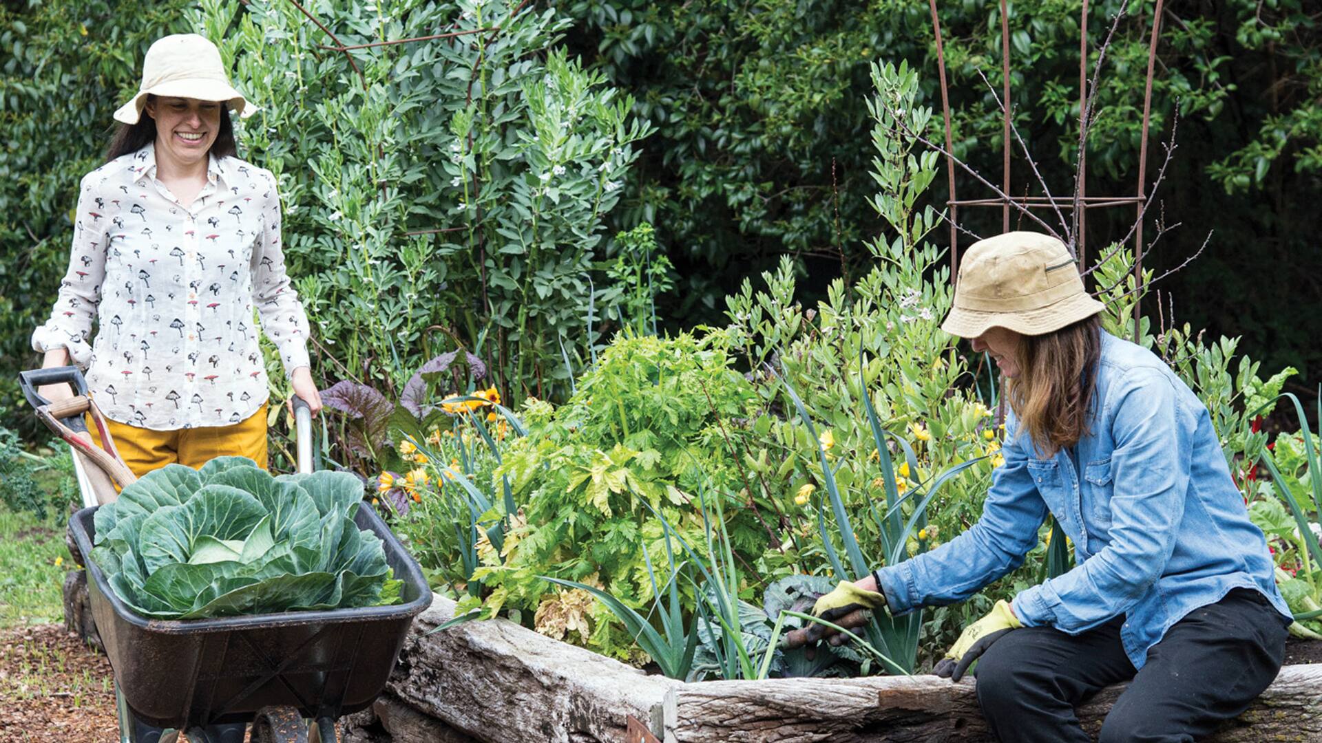 Cuidar el suelo, su salud y su fertilidad con técnicas apropiadas y abonos naturales asegurará la salud de las plantas.