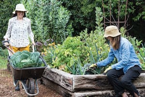 Cuidar el suelo, su salud y su fertilidad con técnicas apropiadas y abonos naturales será la base que asegurará la salud de las plantas, pero hay otros elementos que son esenciales y es importante tenerlos siempre presentes.