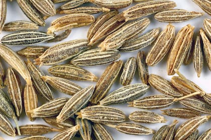Cultivado originalmente en Irán y la región mediterránea, el comino es un gran aliado de las comidas y la salud