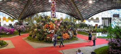 Cultivadores de plantas ornamentales y flores de corte, paisajistas y floristas, exponen sus productos y diseños