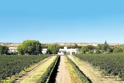 "Realmente es un problemón a corto plazo para todas las bodegas, sobre todo para el fraccionado de vino, lo que puede impactar en las exportaciones, que tanto cuesta mantener e incrementar”, contó a LA NACION el gerente de uno de los grupos vitivinícolas argentinos con mayor presencia en el mercado internacional.