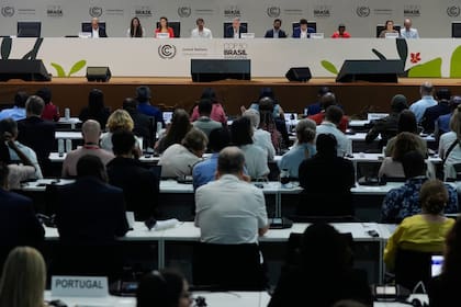 Cumbre climática en Brasil, COP 30 (AP Photo/Fernando Llano)