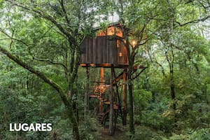 Cuña Pirú Lodge, inmerso en la selva.