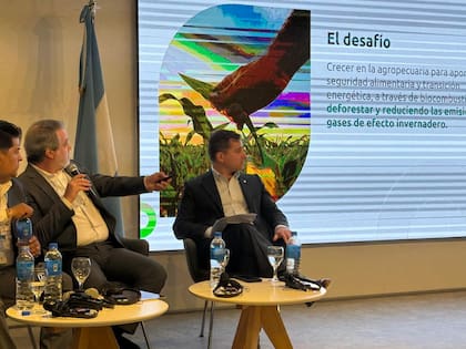 Cunto señaló que Brasil busca movilizar recursos mediante instrumentos como Ecoinvest