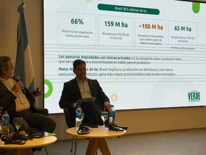 Cunto señaló que Brasil cuenta con unas 100 millones de hectáreas de tierras degradadas y que cerca de 40 millones podrían recuperarse para la agricultura o una ganadería más intensiva; ademas el país conserva 584 millones de hectáreas de vegetación nativa, equivalentes al 66% de su territorio