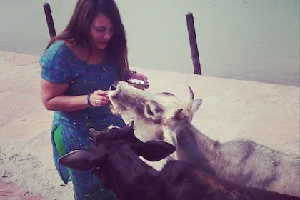 Daisy escribió: Hermosas vacas las 3...