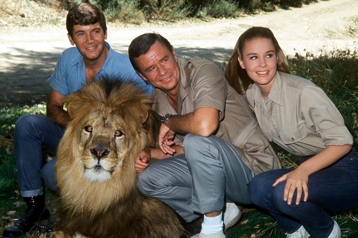 Daktari: las dificultades de uno de sus recordados protagonistas, los “impostores” en el set y un viaje que lo cambió todo