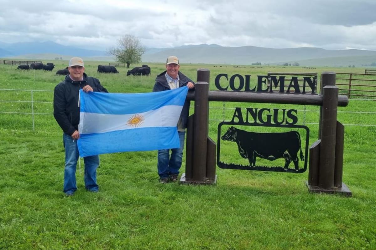 Dale Hummel y Larry Coleman, los ganaderos norteamericanos que tienen genética bovina argentina de La Rubeta