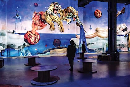 Dalí, el enigma sin fin propone un viaje dentro de imágenes en movimiento, con música de Pink Floyd