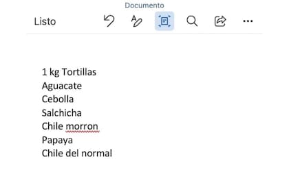 Damaris no entendía la razón por la que nadie contestaba a su CV