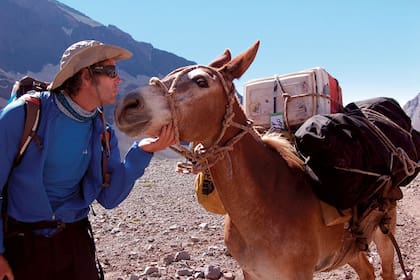 Las mulas también suelen ser excelentes compañeras de viaje