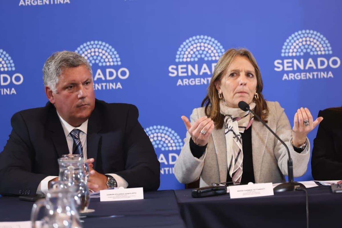 Damián Sanfilippo, subsecretario de Energía, y María Carmen Tettamanti, secretaria de Energía, en la reunión de comisiones