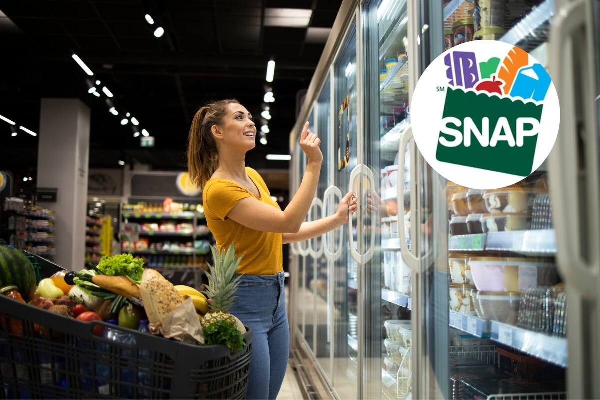 Dan a conocer el calendario de pagos del programa SNAP para enero de 2026 (Freepik/SNAP)