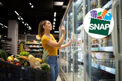 Dan a conocer el calendario de pagos del programa SNAP para enero de 2026 (Freepik/SNAP)