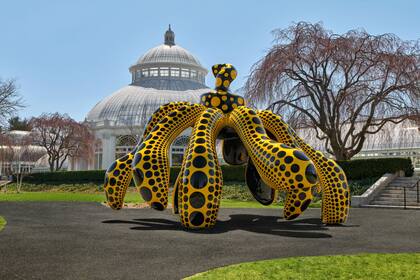 Dancing Pumpkin, 2020. Una monumental escultura de bronce con forma de calabaza pintada en negro y amarillo, ubicada en el jardín del conservatorio.