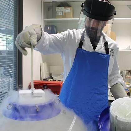 Dani Ballesteros haciendo criopreservación en Kew Gardens: "Si una especie desaparece no la vamos a volver a tener nunca, a no ser que tengamos estos criobancos para poder reinstaurarlas"