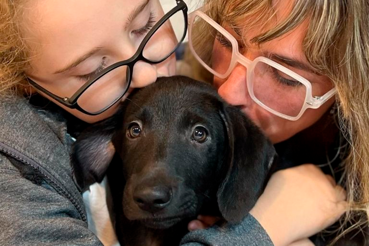 Dani La Chepi compartió la emotiva historia de su perra Rumba y dejó un importante mensaje: "Adopten, no se van a arrepentir"