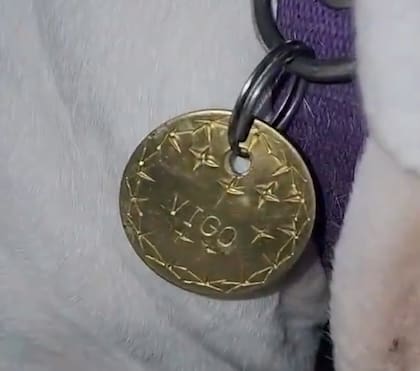 Dani vende chapitas identificadoras de mascotas en esa famosa esquina (Captura: @tomasrossok)