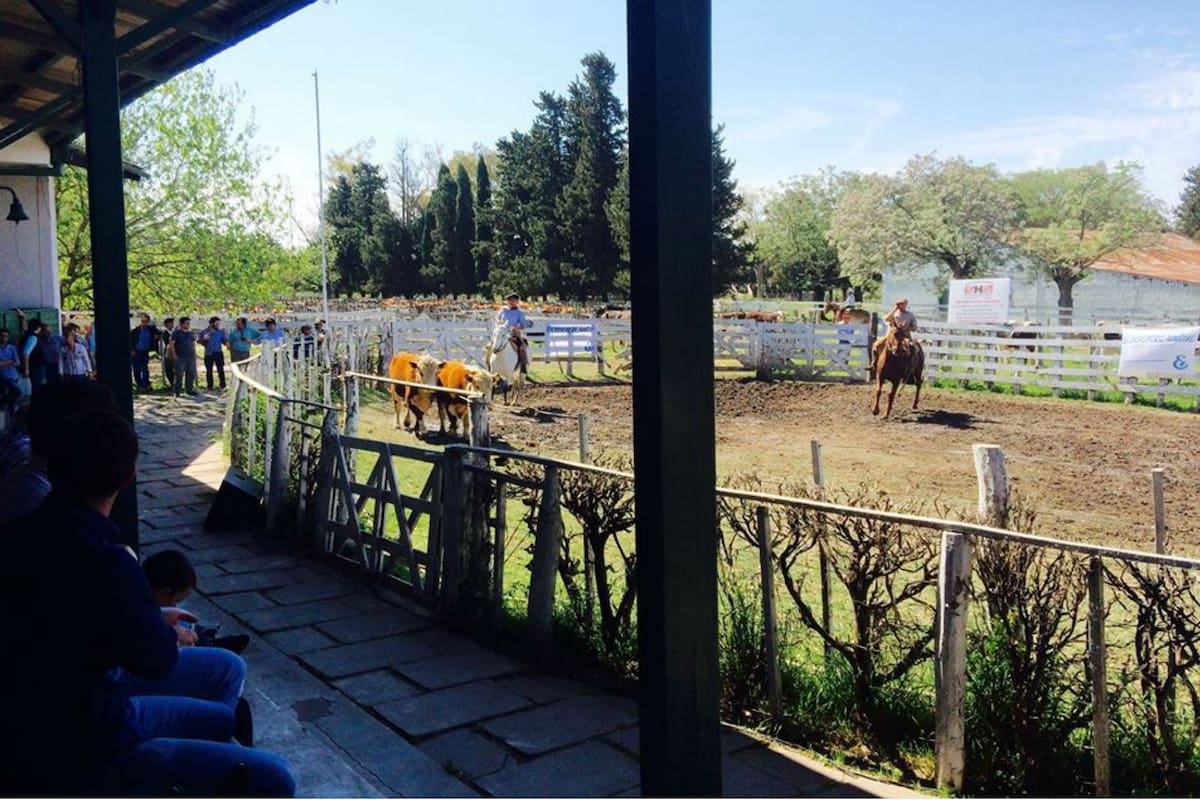 Daniel Antonio Koch, jefe de distrito de la provincia en Vialidad Nacional, propuso que los terrenos ubicados al sur de la ciudad se destine a la construcción de viviendas