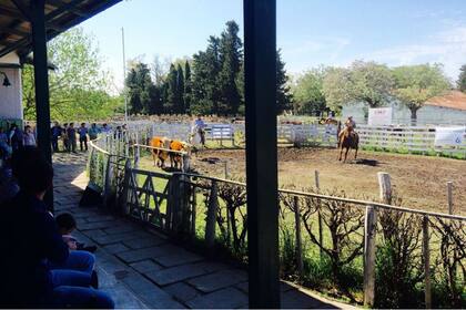 Daniel Antonio Koch, jefe de distrito de la provincia en Vialidad Nacional, propuso que los terrenos ubicados al sur de la ciudad se destine a la construcción de viviendas