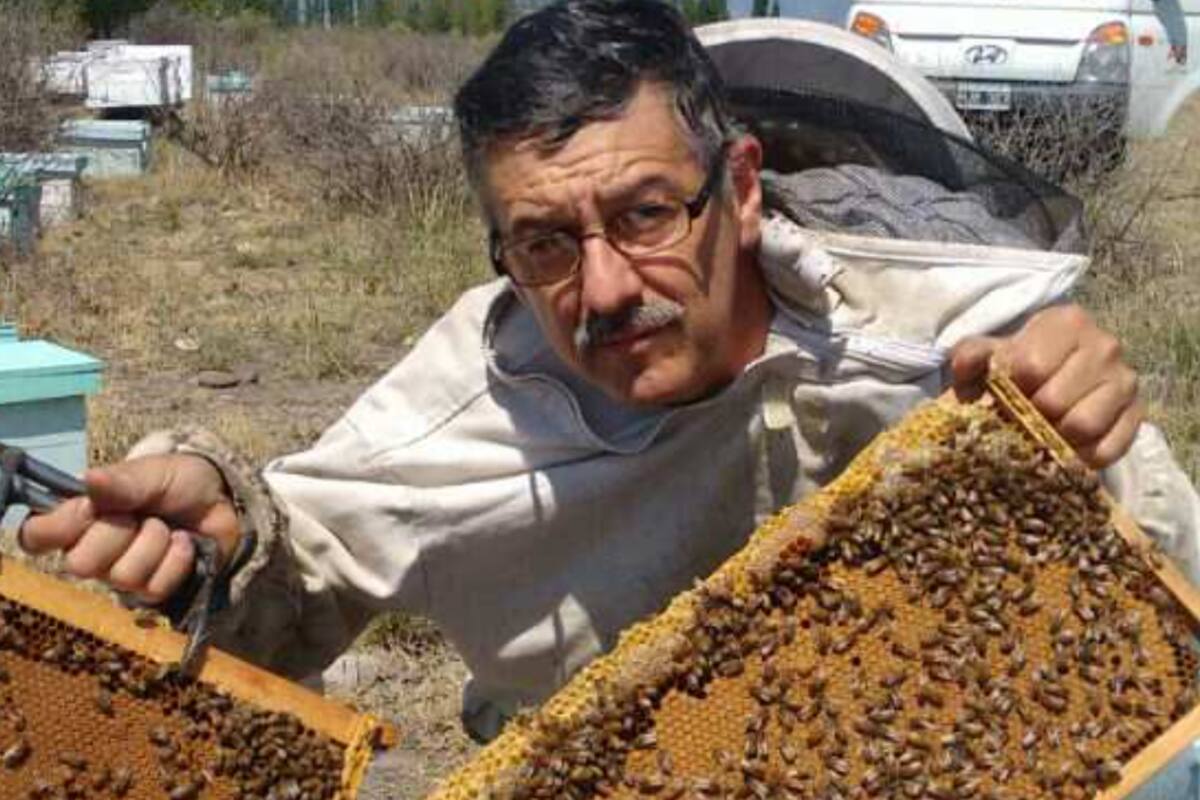 Daniel Avena es apicultor hace 25 años. Posee 1500 colmenas en Tunuyán, Mendoza