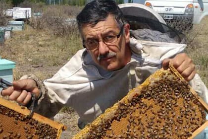 Daniel Avena es apicultor hace 25 años. Posee 1500 colmenas en Tunuyán, Mendoza